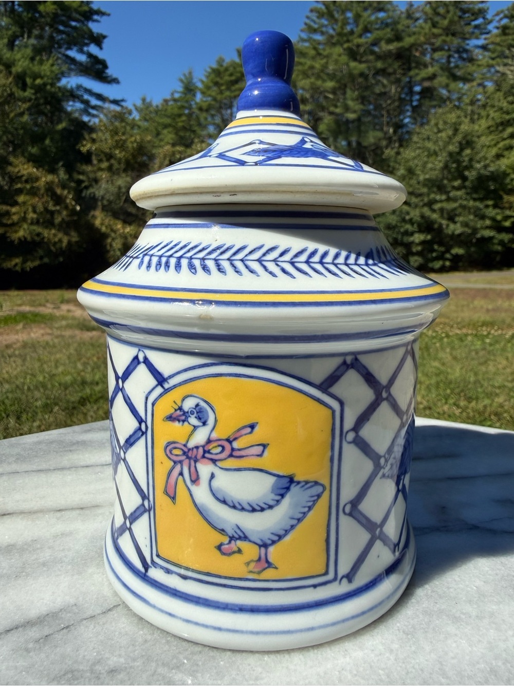 Cottagecore Hand Painted Blue and Yellow Duck CeramicCanister Jar
